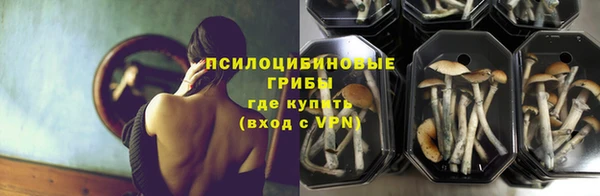 spice Алексеевка