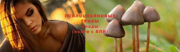 гашиш Алексин